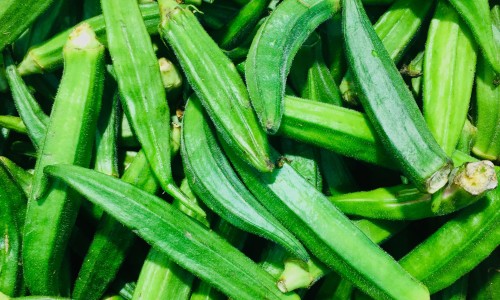 固肾安胎的食物有哪些网-分享固肾安胎按摩什么穴位，固肾安胎丸的正确吃法知识库